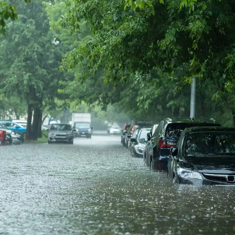 Flood Insurance California