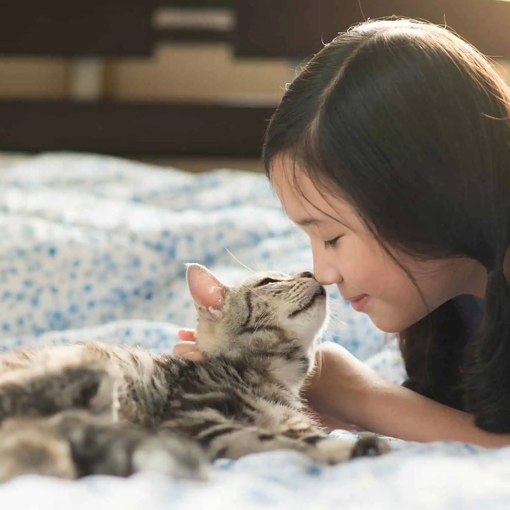Pet Insurance California